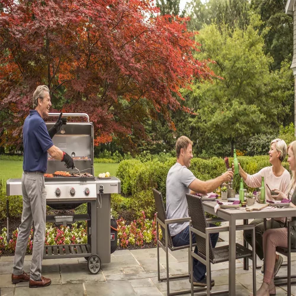 BARBACOA WEBER GAS GENESIS II E-410