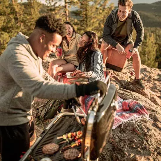 barbacoa weber gas traveler